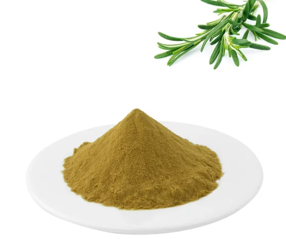 rosemary extract rosemary extract powder rosemary leaf extract