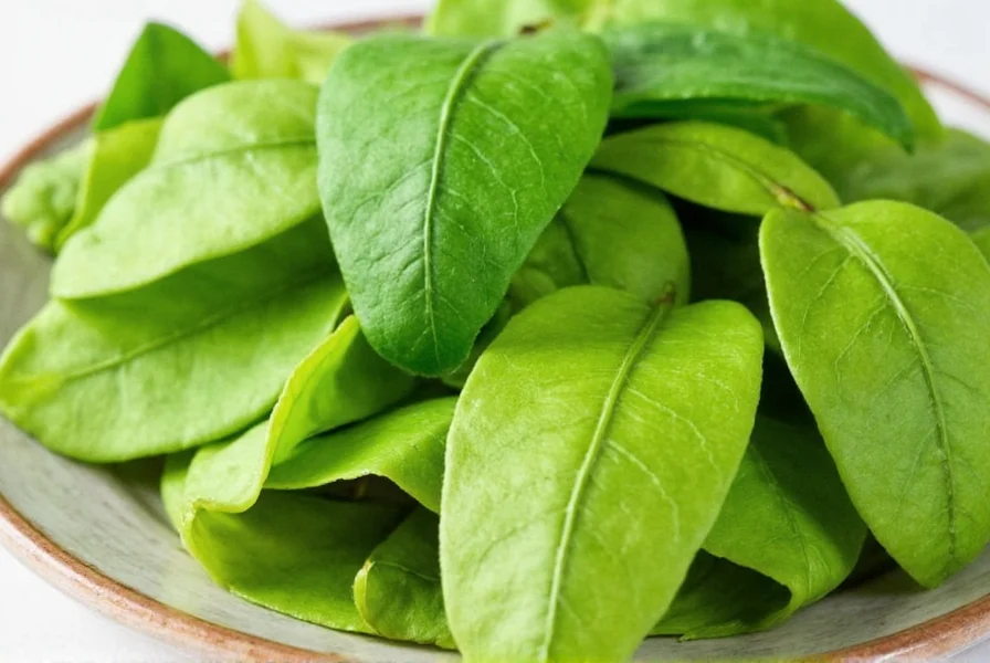 Close-up of fresh ginger leaves being harvested from plant