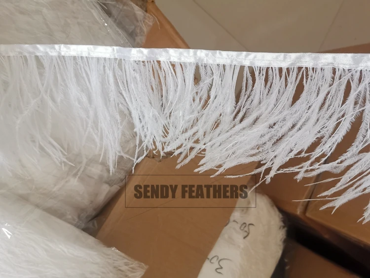 Fringe_Ostrich_7507.jpg