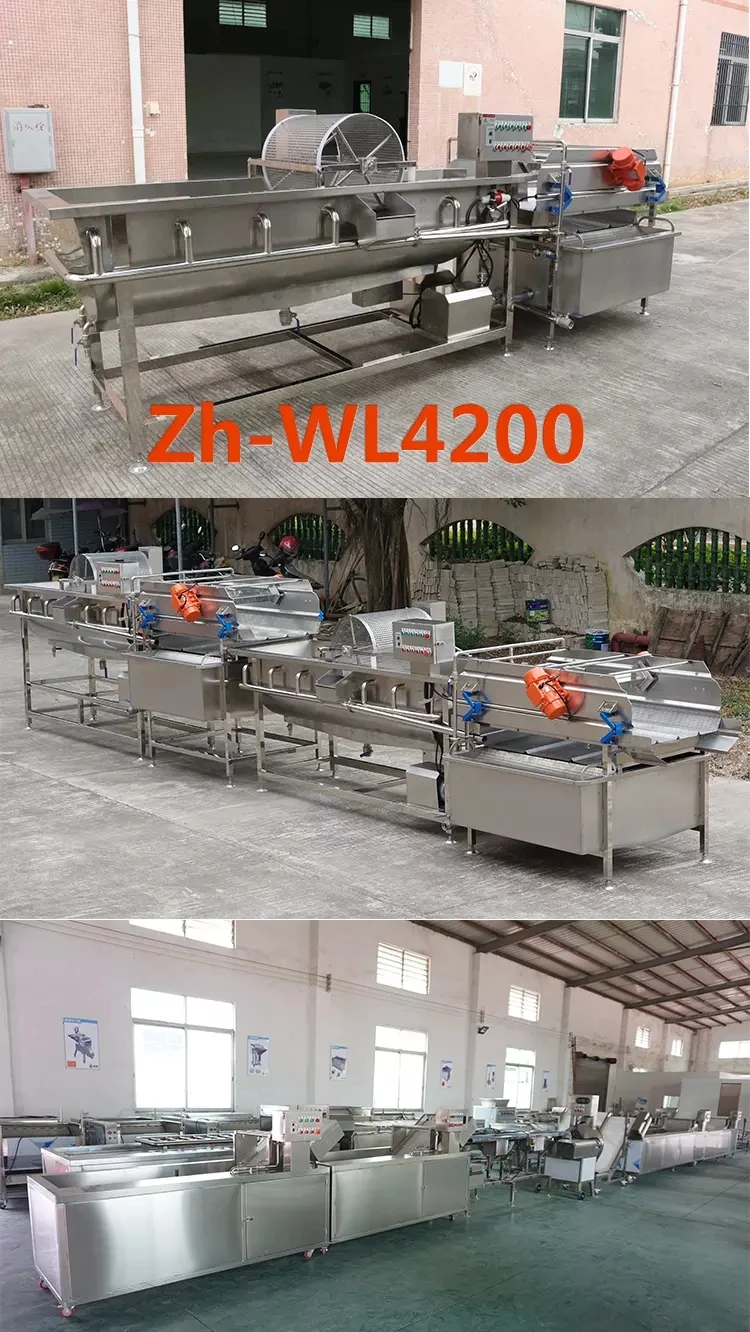 Air bubble fruit washing machine orange strawberry apple lemon cleaning machine stainless steel fruit washer