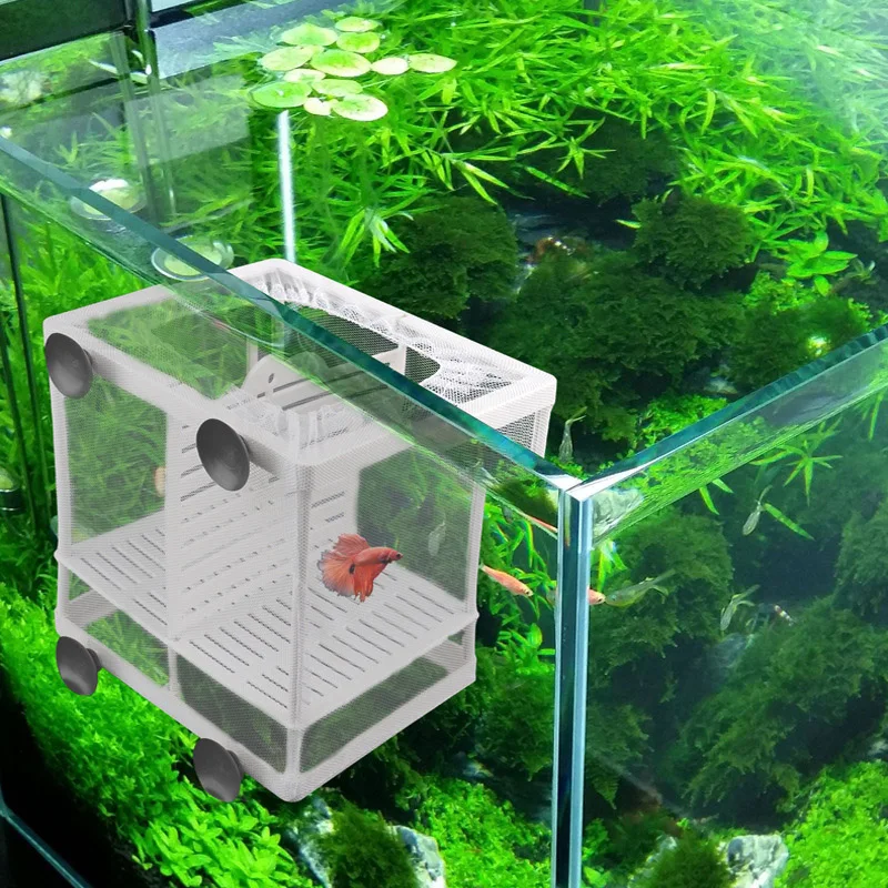 Jiangxinshenghuo Isolation Mesh Box Suction Cup Design Fish Breeding Incubator Net Aquarium Hanging Hatchery Box 