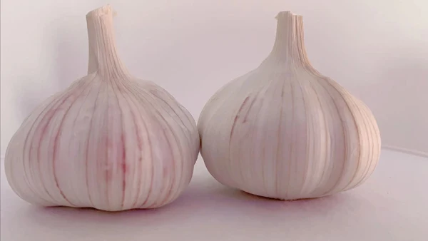 
Newest crop aglio ajo thai garlic from peru in fresh asian vegetables 