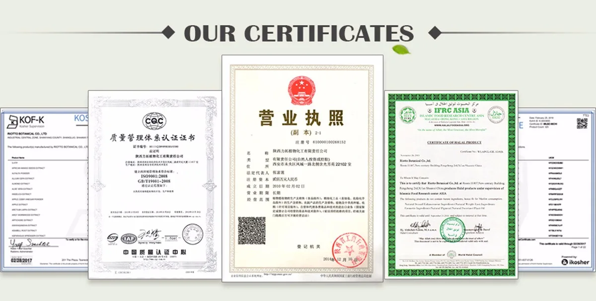 
NAC Pharmaceutical N-acetyl-l-cysteine/ Acetylcysteine CAS No. 616-91-1 