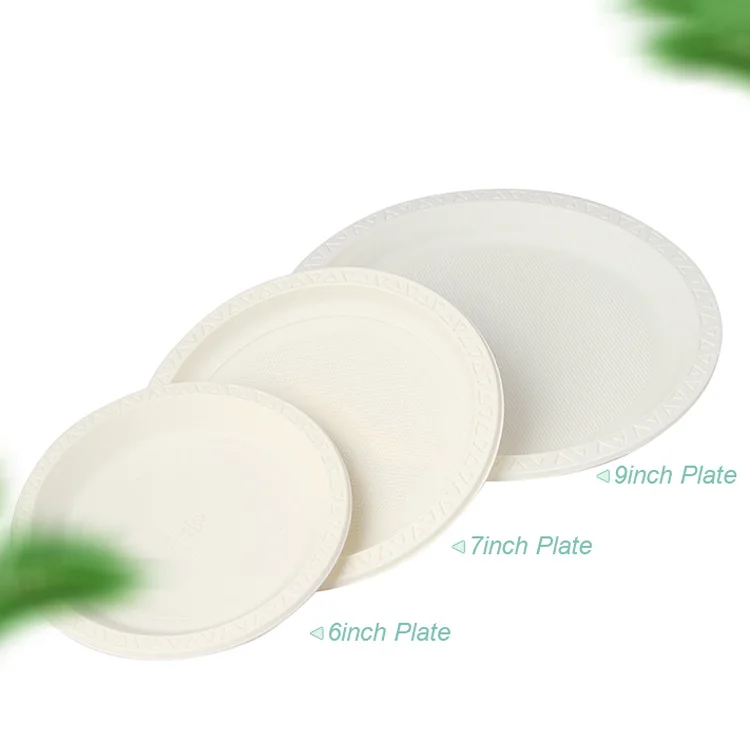 

Customize High Quality Bio Degradable Hot Disposable Fruit Plastic Dishes Plates Sets Dinnerware