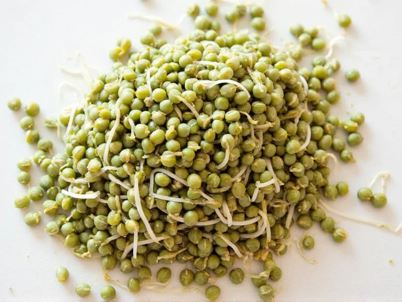 How to Sprout Lentils: Simple 5-Step Guide