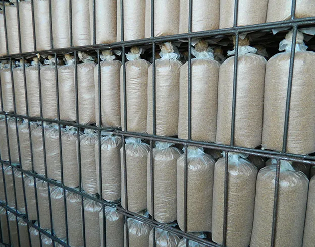 
DETAN oyster Mushroom spawns/logs/bags/grow kits (offer Professional technical guidance ) 