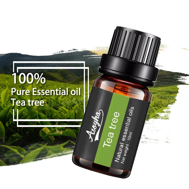 

Wholesale Cosmetics Grade Australian Tea Tree Basil Aroma Source Natural Essential Oils For Candles Skin Care Aromatherapy