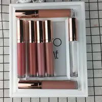 

popula Charming new arrival waterproof wholesale clear nude matte lip gloss with no label