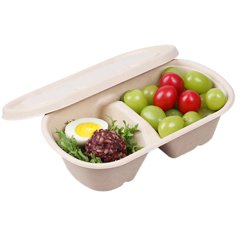 

Lunch Container Paper Bagasse Biodegradable Disposable Pulp For Containers To Go Sugarcane Tableware Bio Food Takeaway Box, Earthy yellow