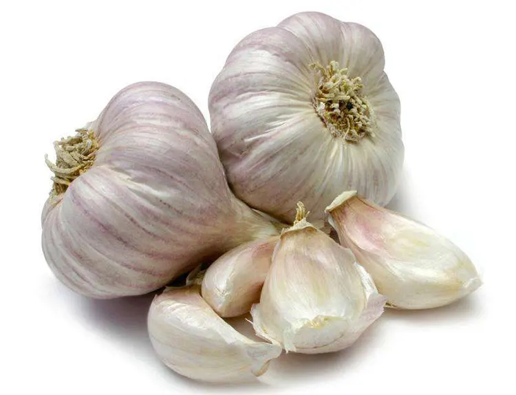 garlic price.jpg