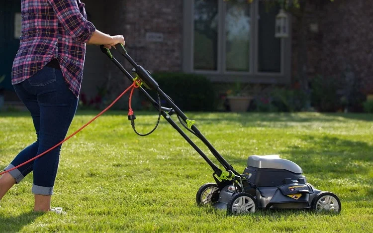 BLDC motor for electric lawn mower