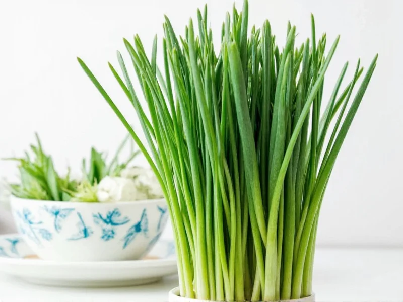Best Substitutes for Chives: Practical Alternatives for Cooking