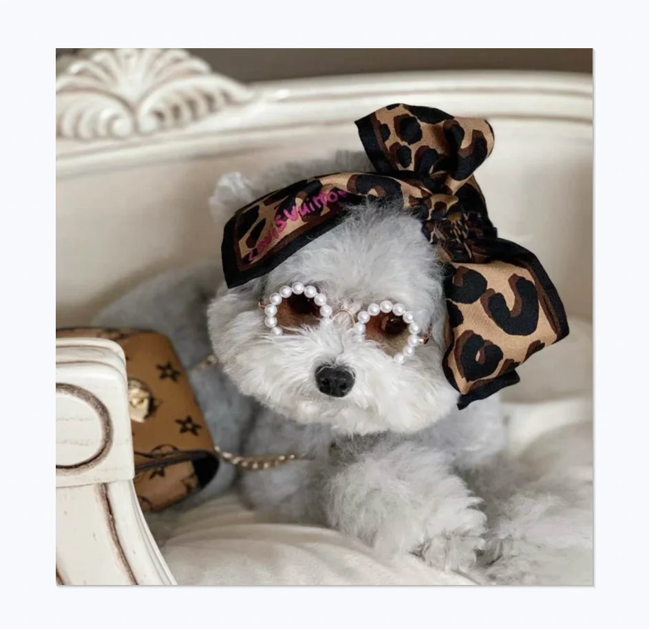 

Pet Jewelry Wholesale Magazine Photo Cat And Dog Pearl Sunglasses