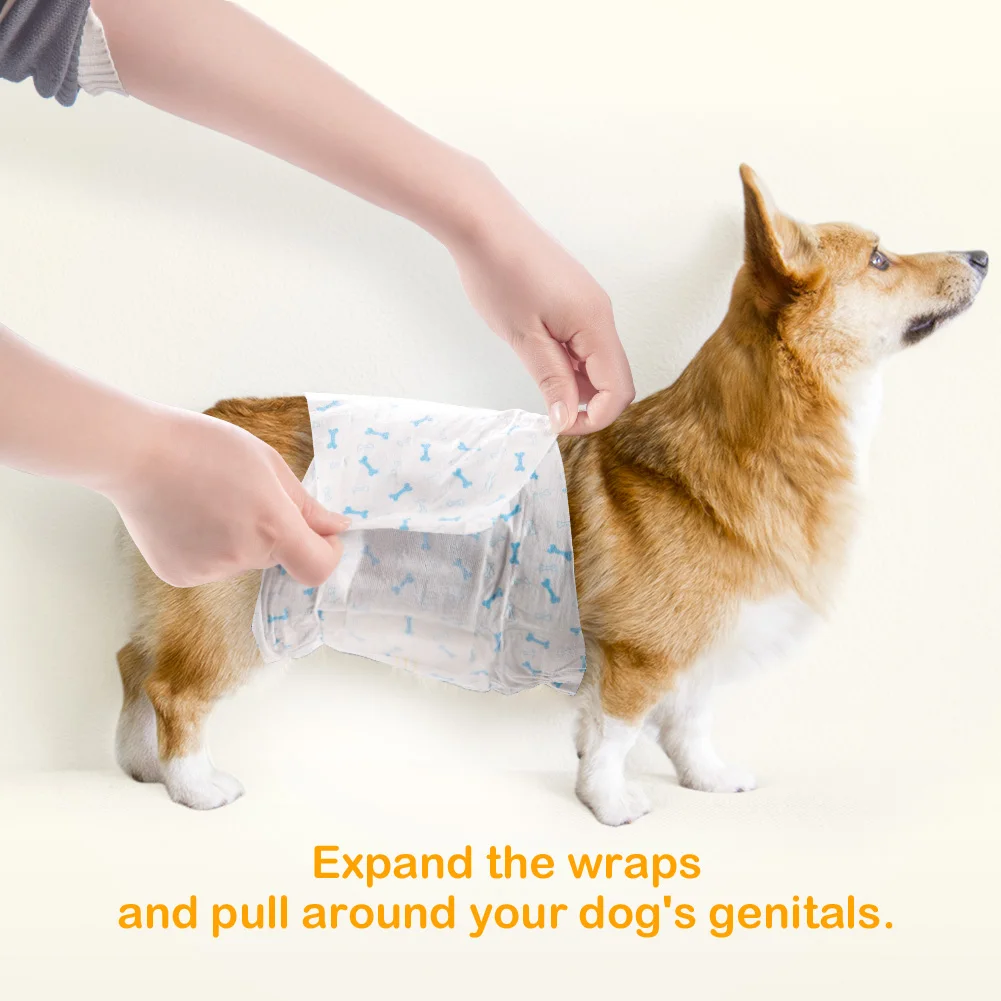 Disposable Absorbent Male Dog Diaper Nappy For Sale Buy Male Dog Nappy,Dog Male Diaper,Dog