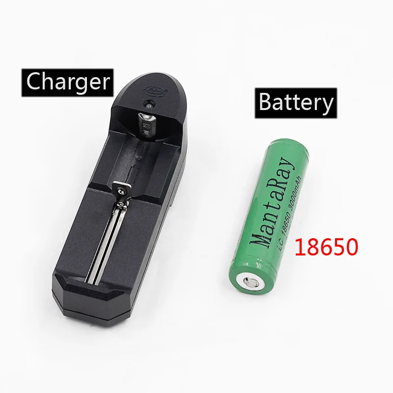 charger + 18650