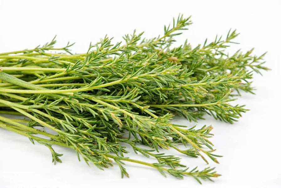 Tarragon plate