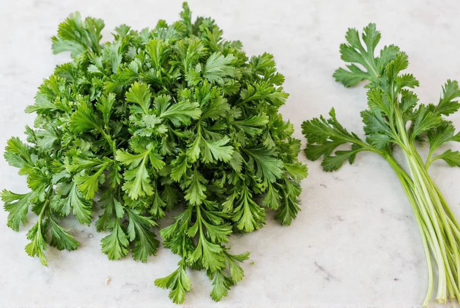 Frozen parsley cubes in ice tray