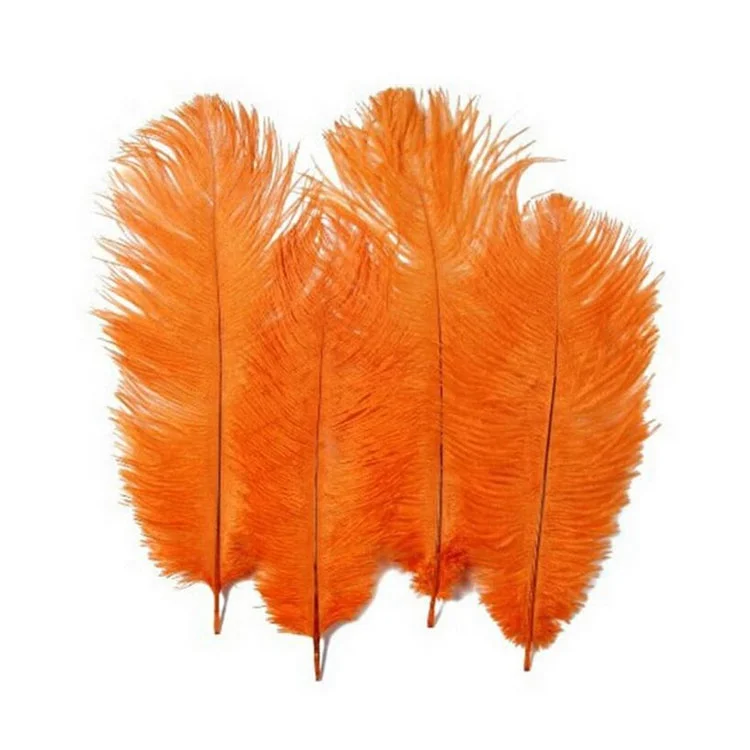 buy feathers wholesale