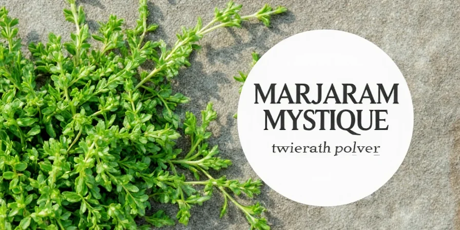 Marjoram flavor wheel showing floral, sweet, minty notes