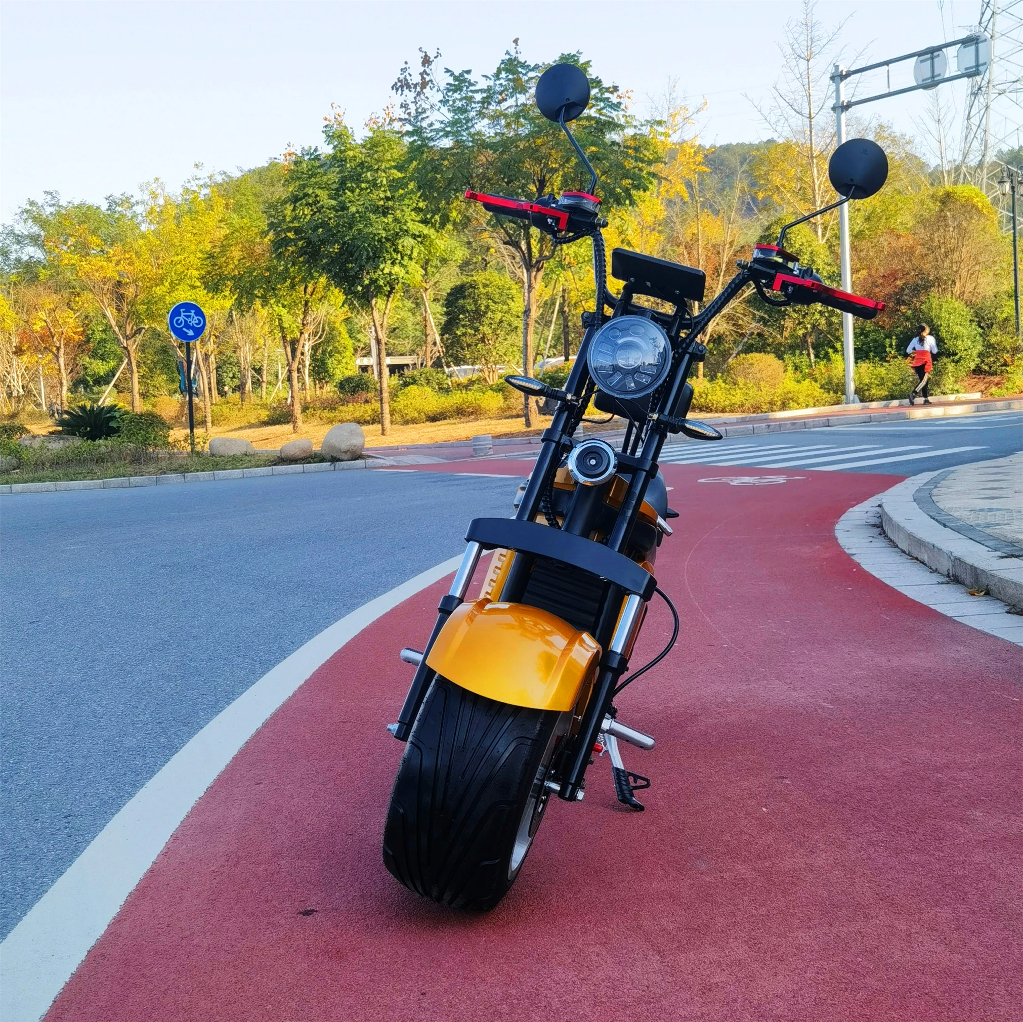 

Fat Tire Electric Scooter For Adults EEC/COC Electric Scooter Citycoco Swift Good Quality Clipping Competitive Price