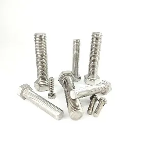 Stainless steel hexagon bolt