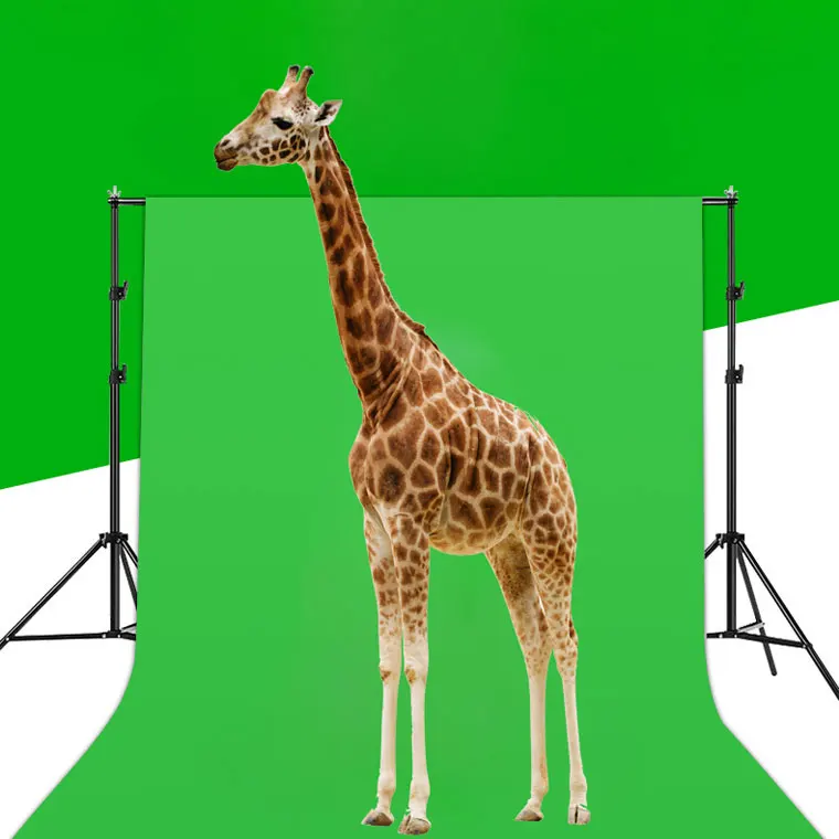 

JUNNX Manufacturer OEM Photography Photo Studio Backdrop Backgrounds Collasable Black Red Blue White Gray Green screen