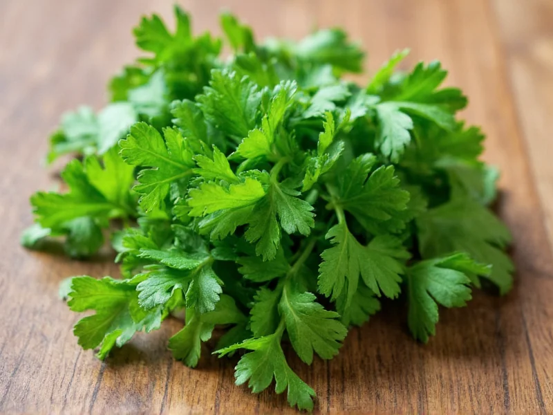 Italian Parsley vs Cilantro: Not the Same Herb Explained