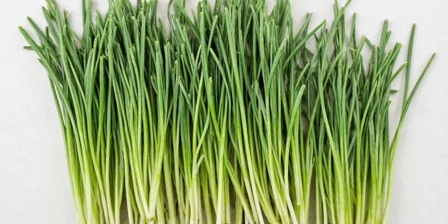 dry chives the flavor packed secret every spice lover needs to know