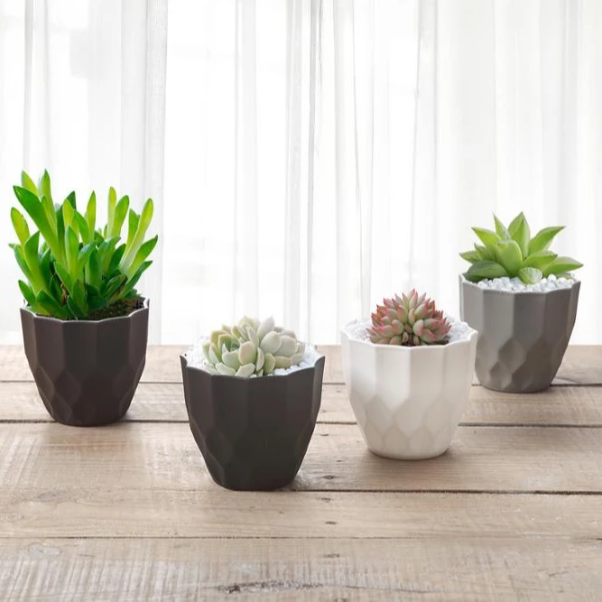 
Plastic desk round colorful flower pot 