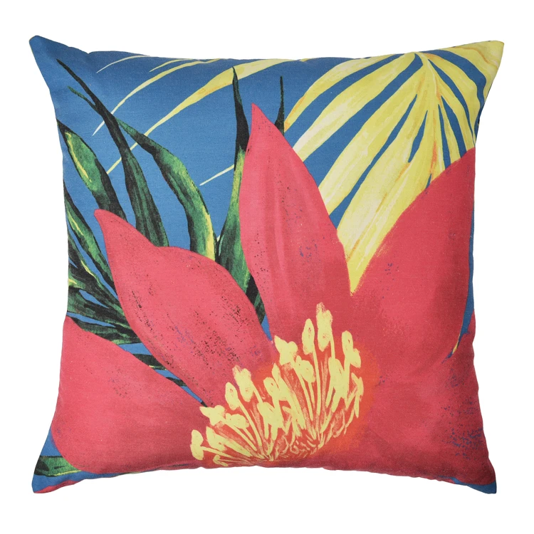$5 throw pillows