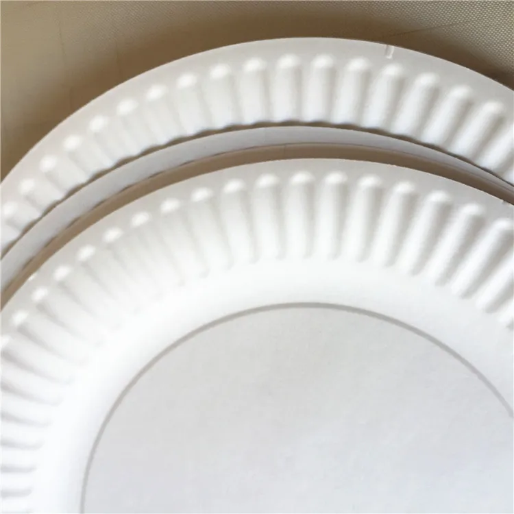 paper plate (15).jpg