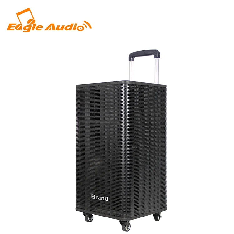 

10 inch new arrival subwoofer audio professional speakers, Black