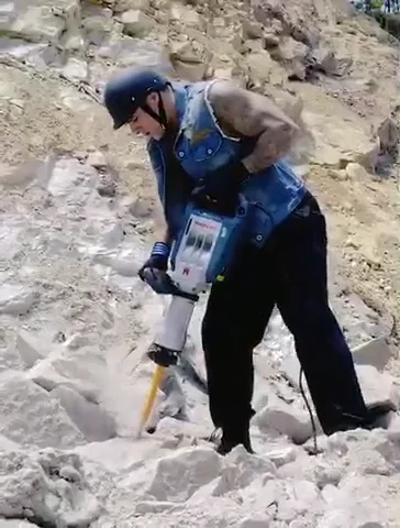 P4010 China Factory Price 1500w Electric Sds Max Demolition Hammer Jack