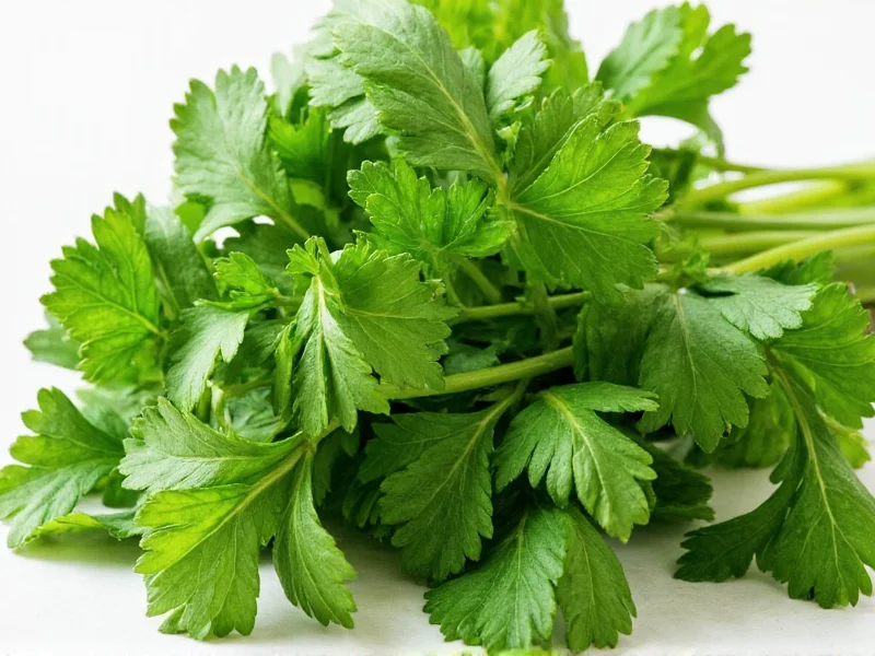 What to Use Instead of Parsley: Best Herb Substitutes