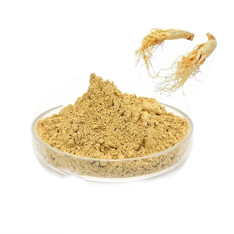 

Top quality 99% Panax ginseng extract ginseng powder for ginseng