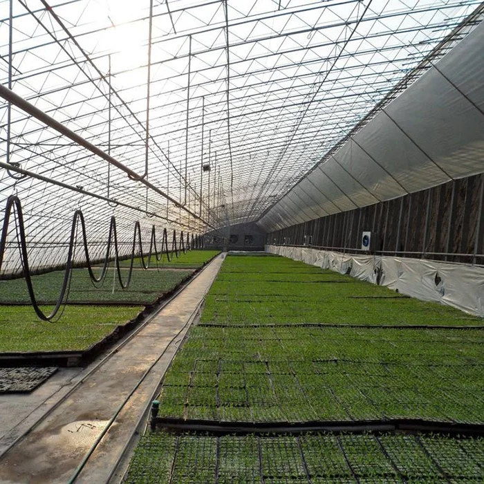 
Customized anti-fog PO greenhouse plastic film clear sheeting 