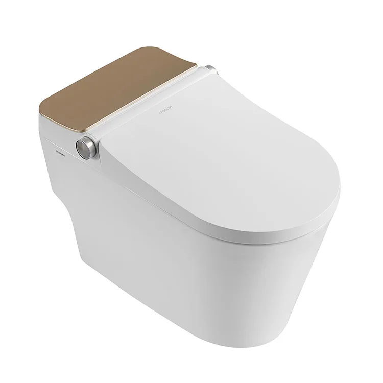 New Design Smart Toilet Bidet Seat Intelligent toilet
