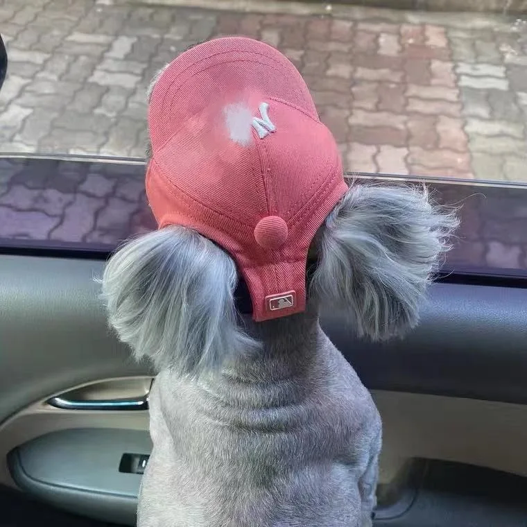 

Wholesale Fashion Hat For Small Dog Cat Baseball Hats With Ear Holes Pet Products Outdoor Accessories Sun Hat, 13 colors