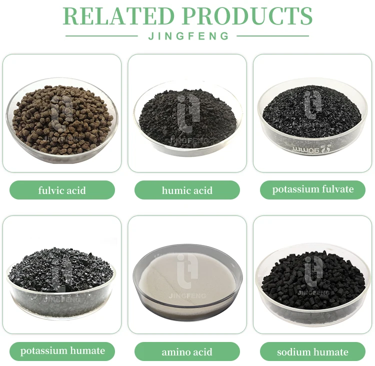 seaweed extract powder