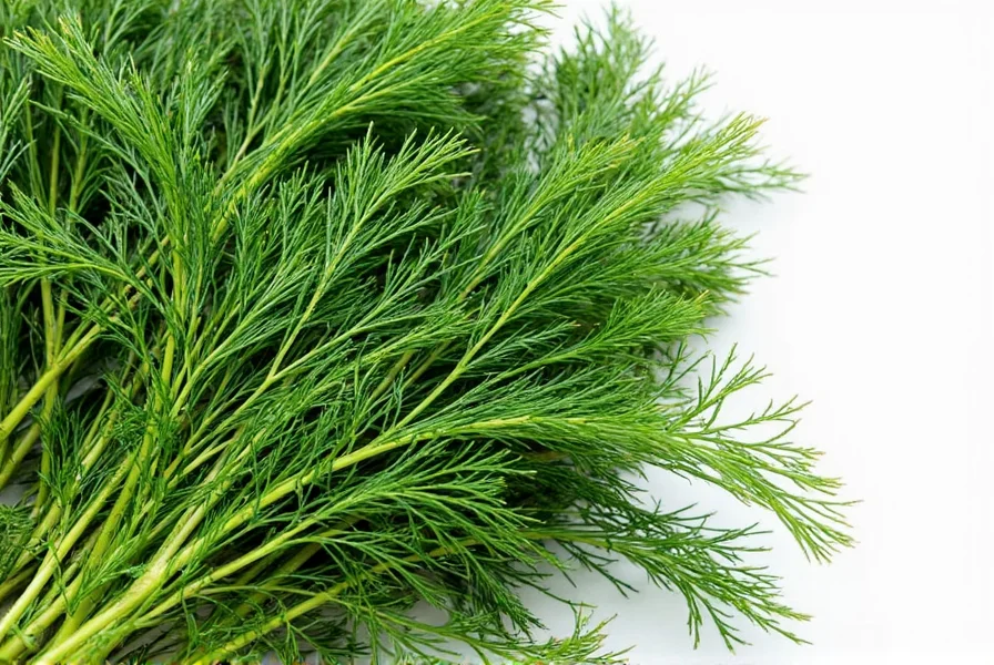Dill fronds in a market