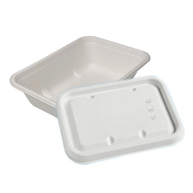 

Biogradable sushi tray disposable customized to go lunch boxes with lid, White