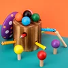 Parent-child interactive toy wooden catch bug game toy children toy caterpillar