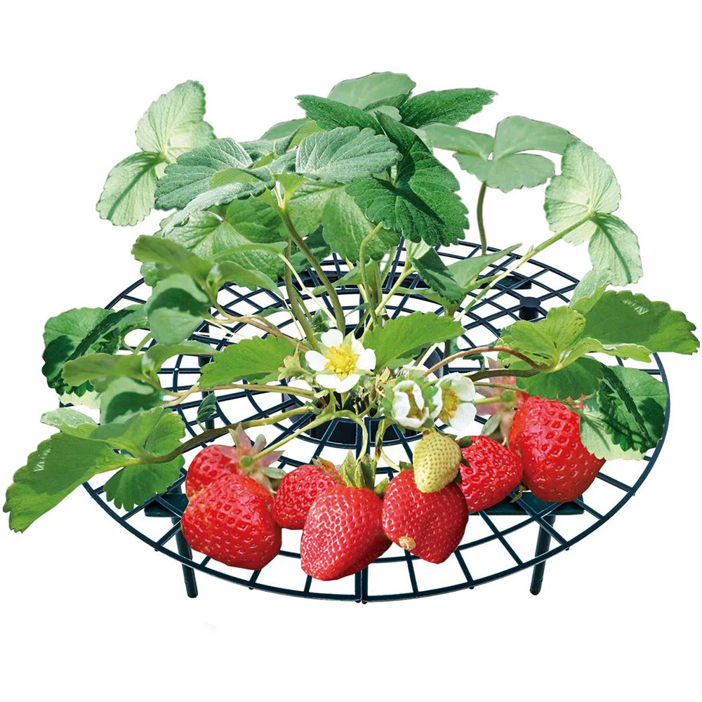 

China Factory Supply Vintage Plastic Green Anti Lodging Strawberry Grow Tray Rack