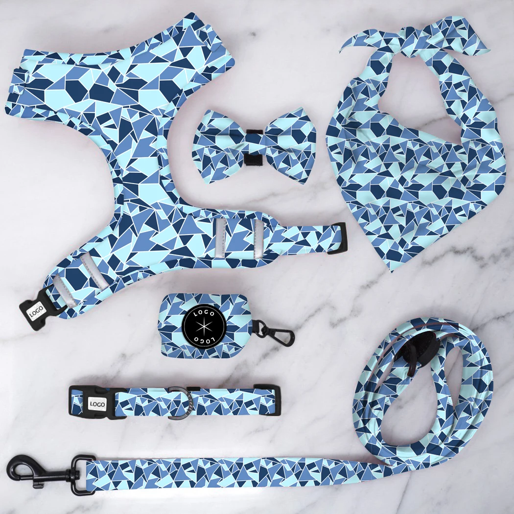 

Customized Printing Design Dog Harness Set Design Dog Lead and Harness Set