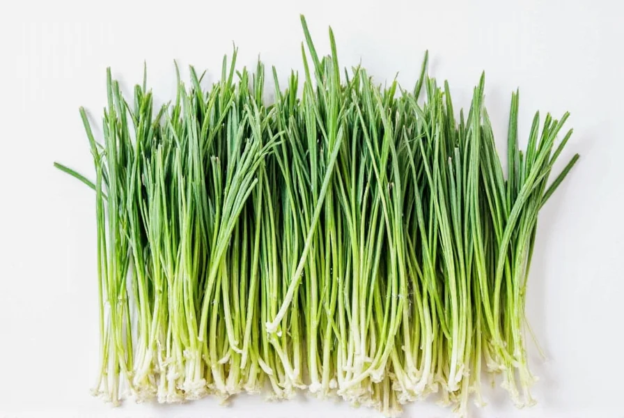 Properly dried chives stored in glass jars