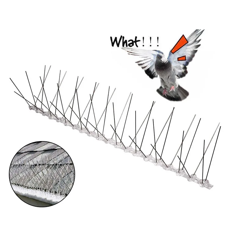 

Wholesale anti pigeon control Spikes Bird pigeon spikes anti bird plastic anti bird spikes