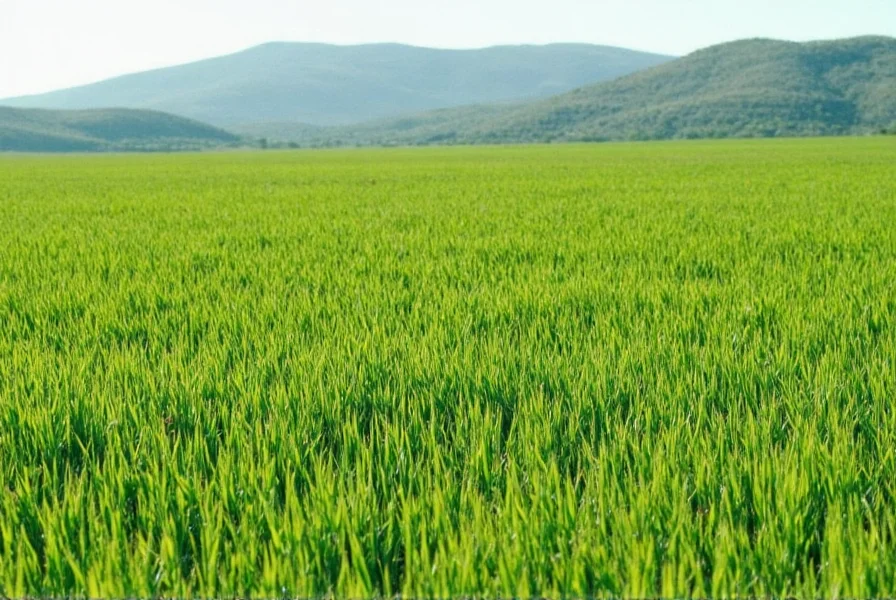 Pepper Grass: What It Is and How to Identify It