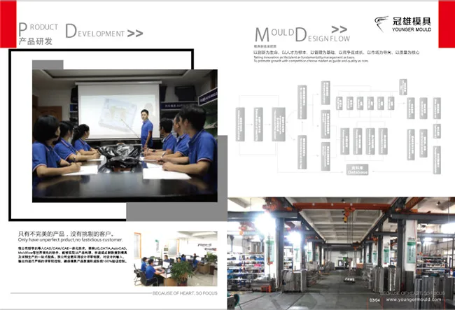 cable tie mould factory