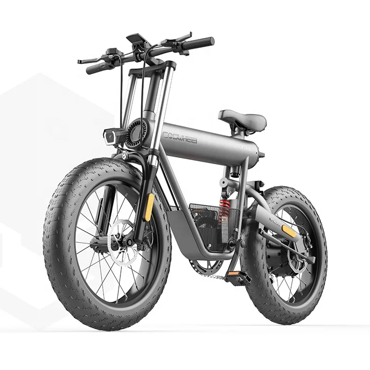 

Free Shipping US Warehouse Eu Warehouse Delivery Cycle Baik 2 Wheel 500w E-bike Electric City Bike
