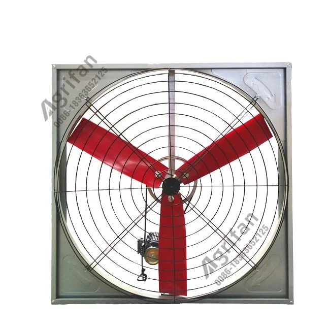 
Agrifan brand poultry farming large dairy fan/ cowshed fan 